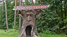 В гости к зубрам и бизонам